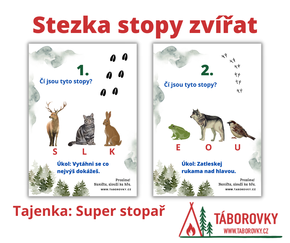 Zimní aktivity pro děti stezka stopy zvířat